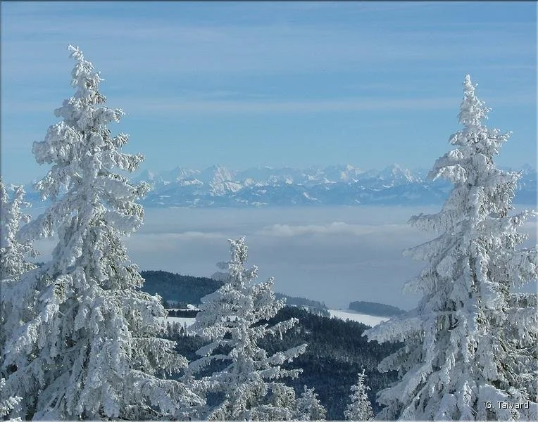 Le Doubs en hiver