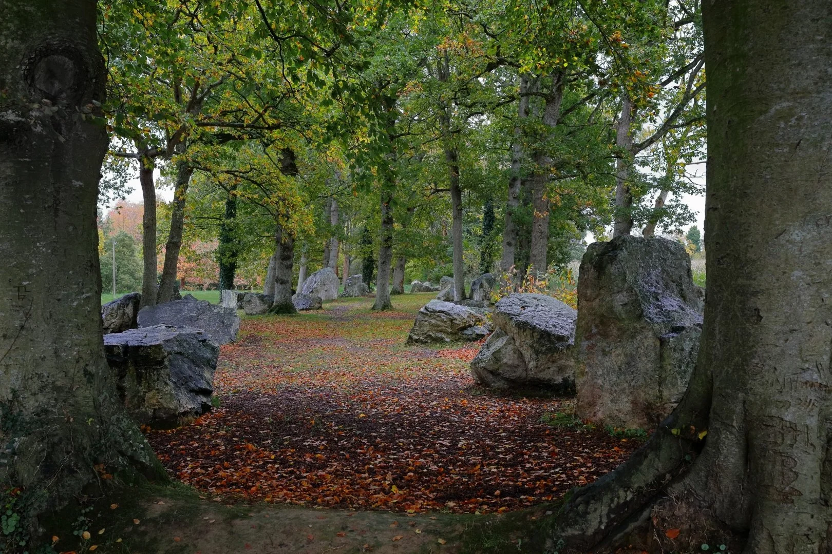 Cimetière-des-druides.jpg