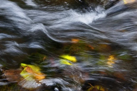 _01360.jpg
