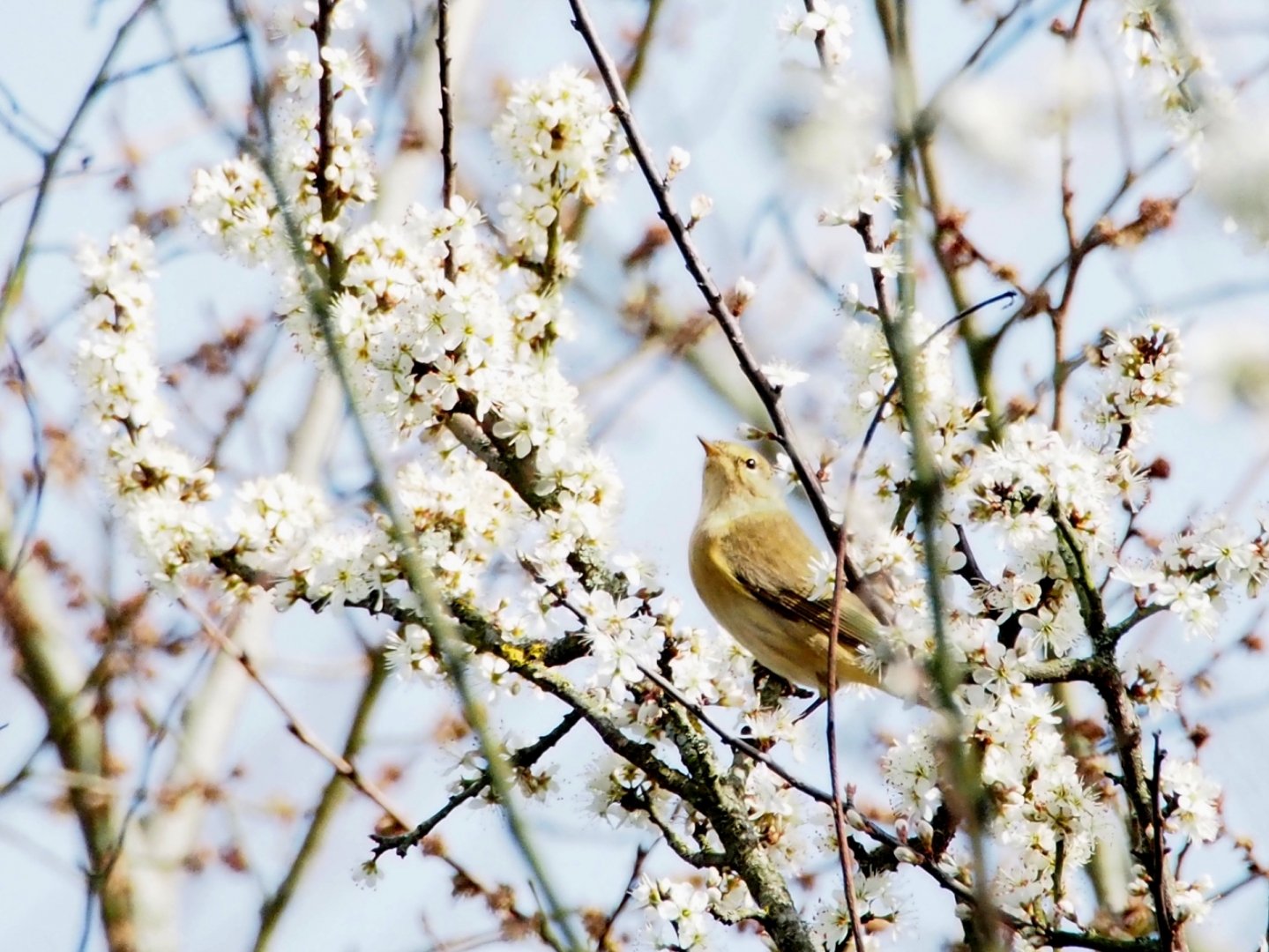 JV-03-2019-1-4_li.jpg