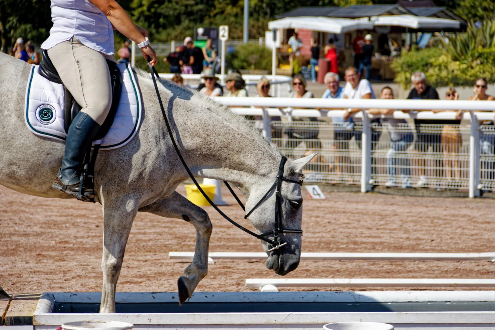 IMG_9843_DxO.jpg