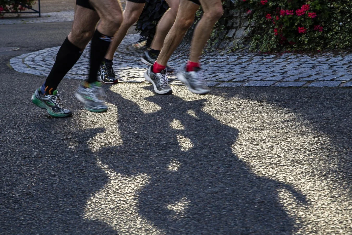 5-courir-après-son-ombre_redimensionner.jpg