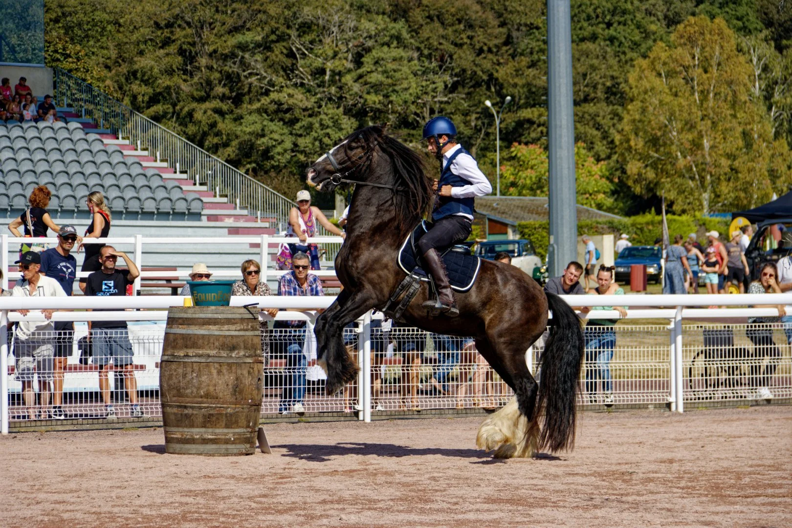 IMG_9899_DxO.jpg