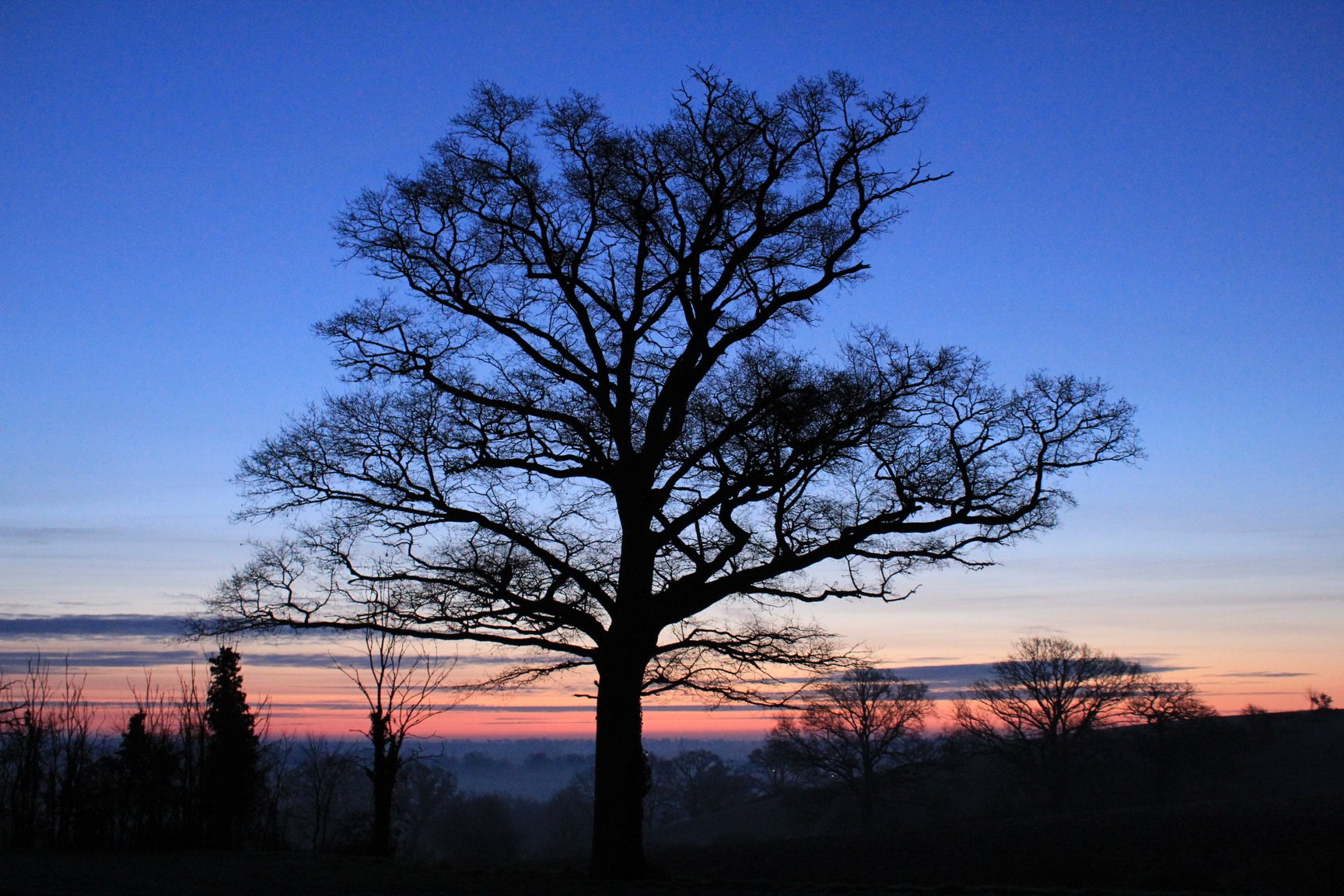 Ciel coloré