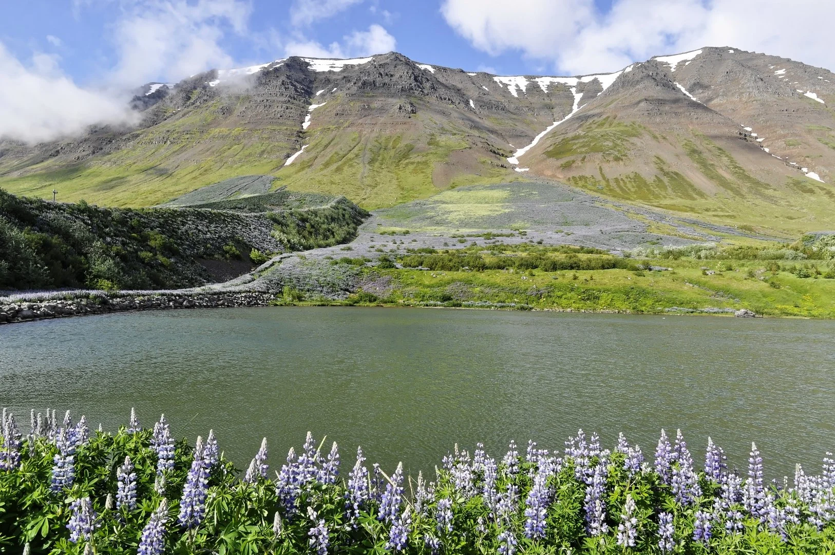paysage-islandais.jpg