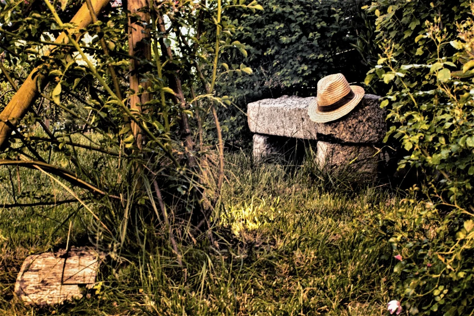 Le-chapeau-De-Paille.jpg