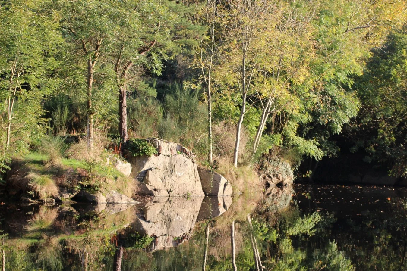 automnal-sur-la-butte-du-devoir_w.jpg