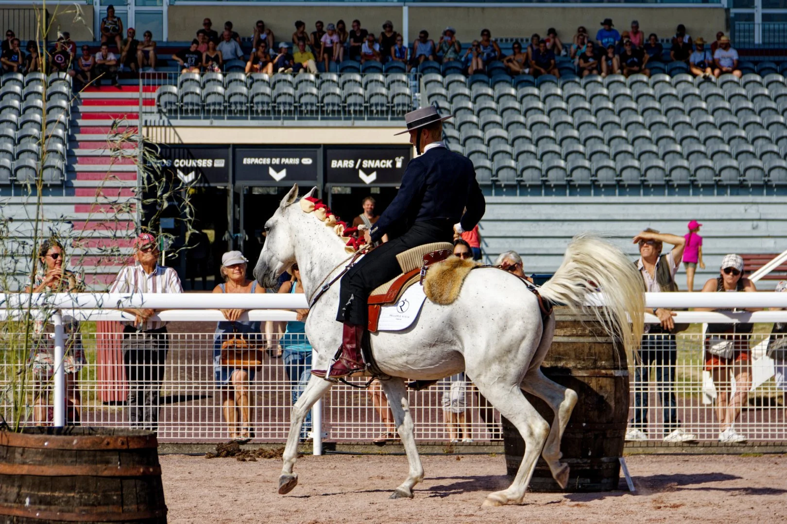 IMG_9960_DxO.jpg