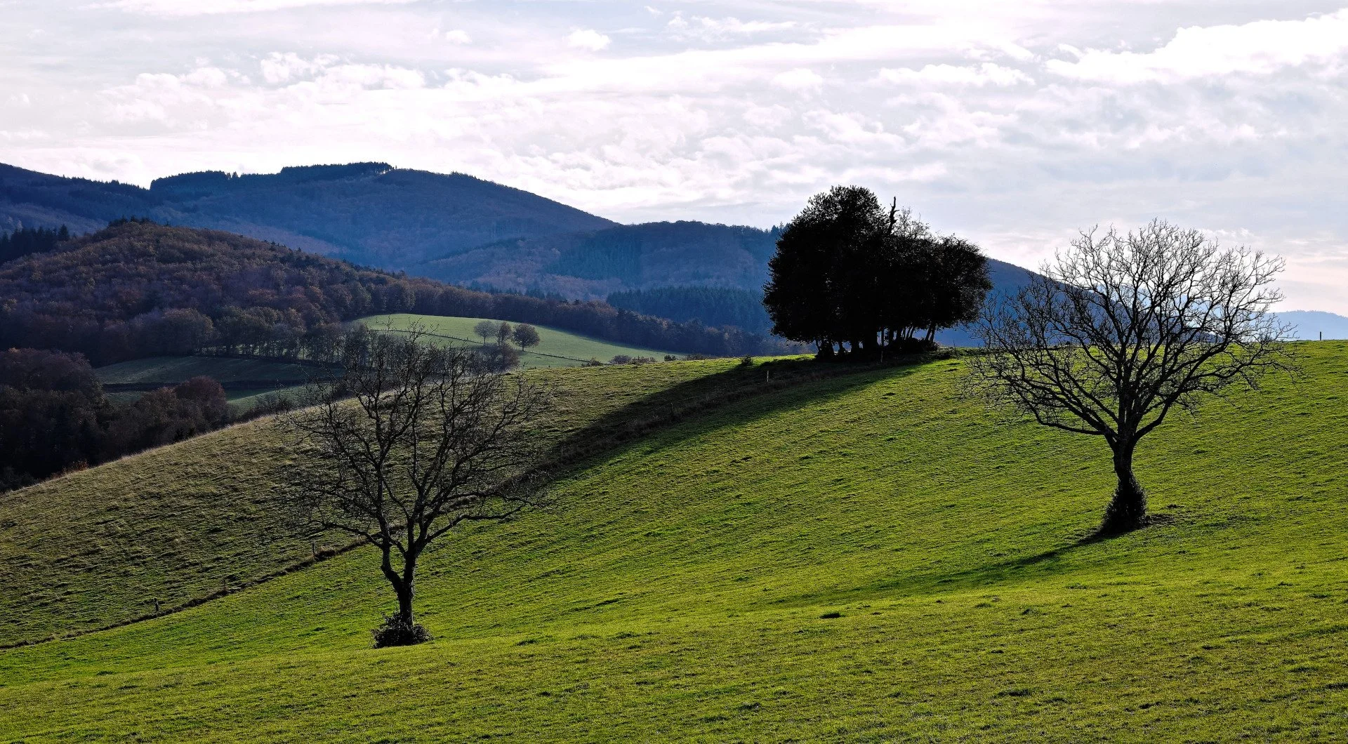 les-monts-de-la-madeleine.jpg