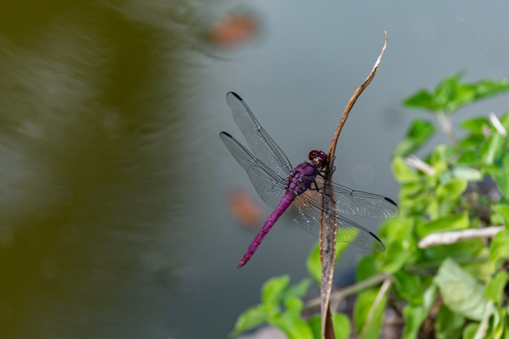 BH032023-07.jpg