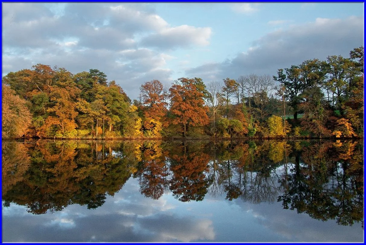 Le halage en automne