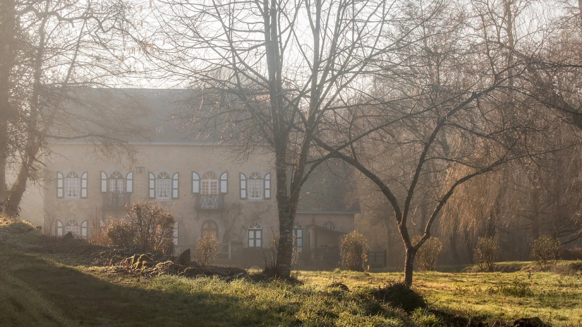 Brume-matinale.jpg