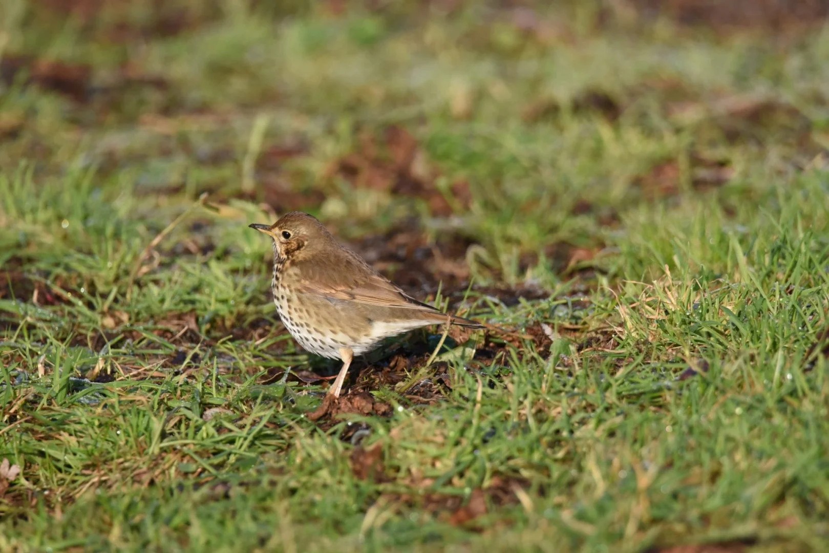 HM_DSC_7623.jpg