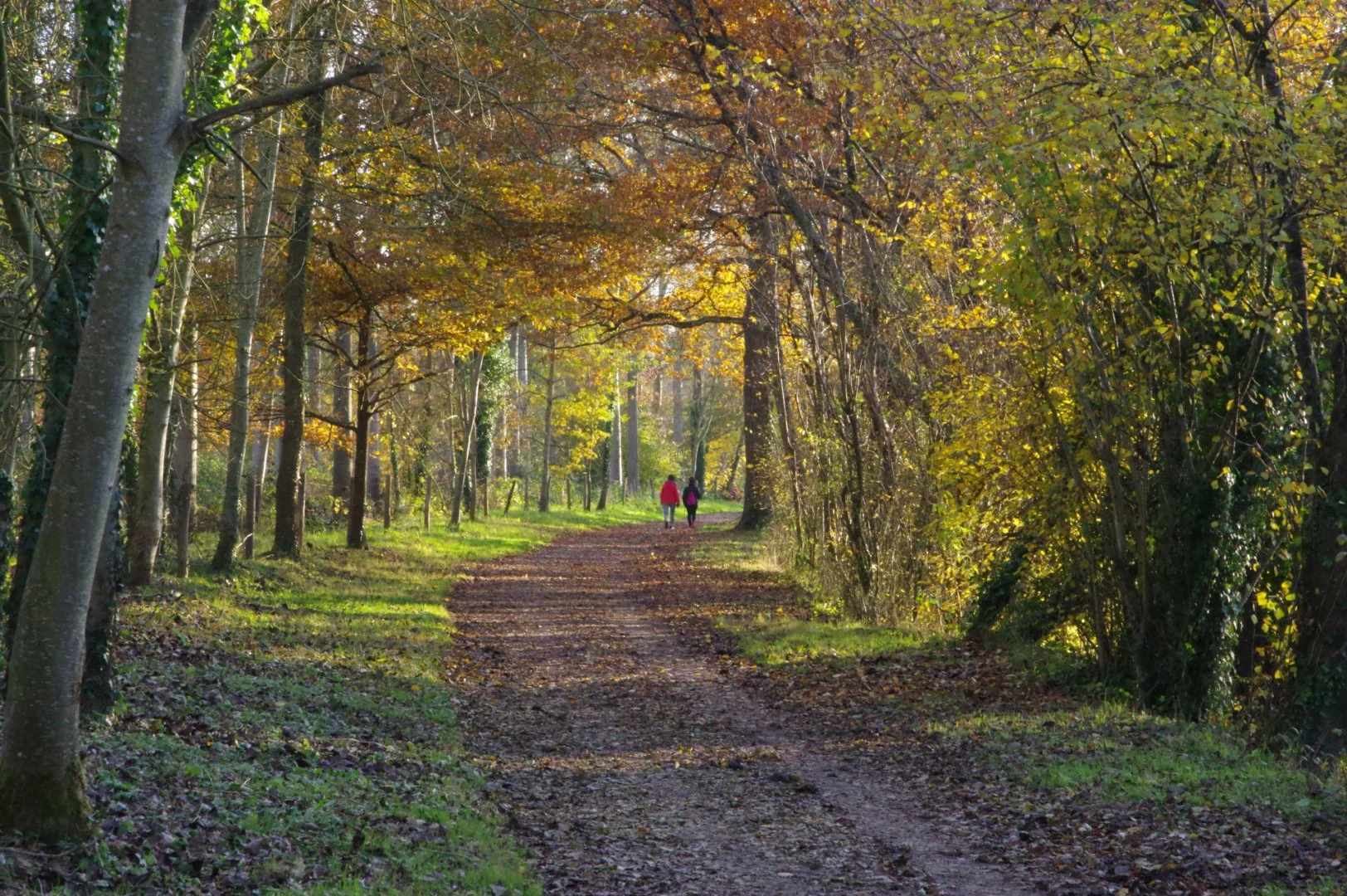 Balade-aux-couleurs-de-lautomne.jpg
