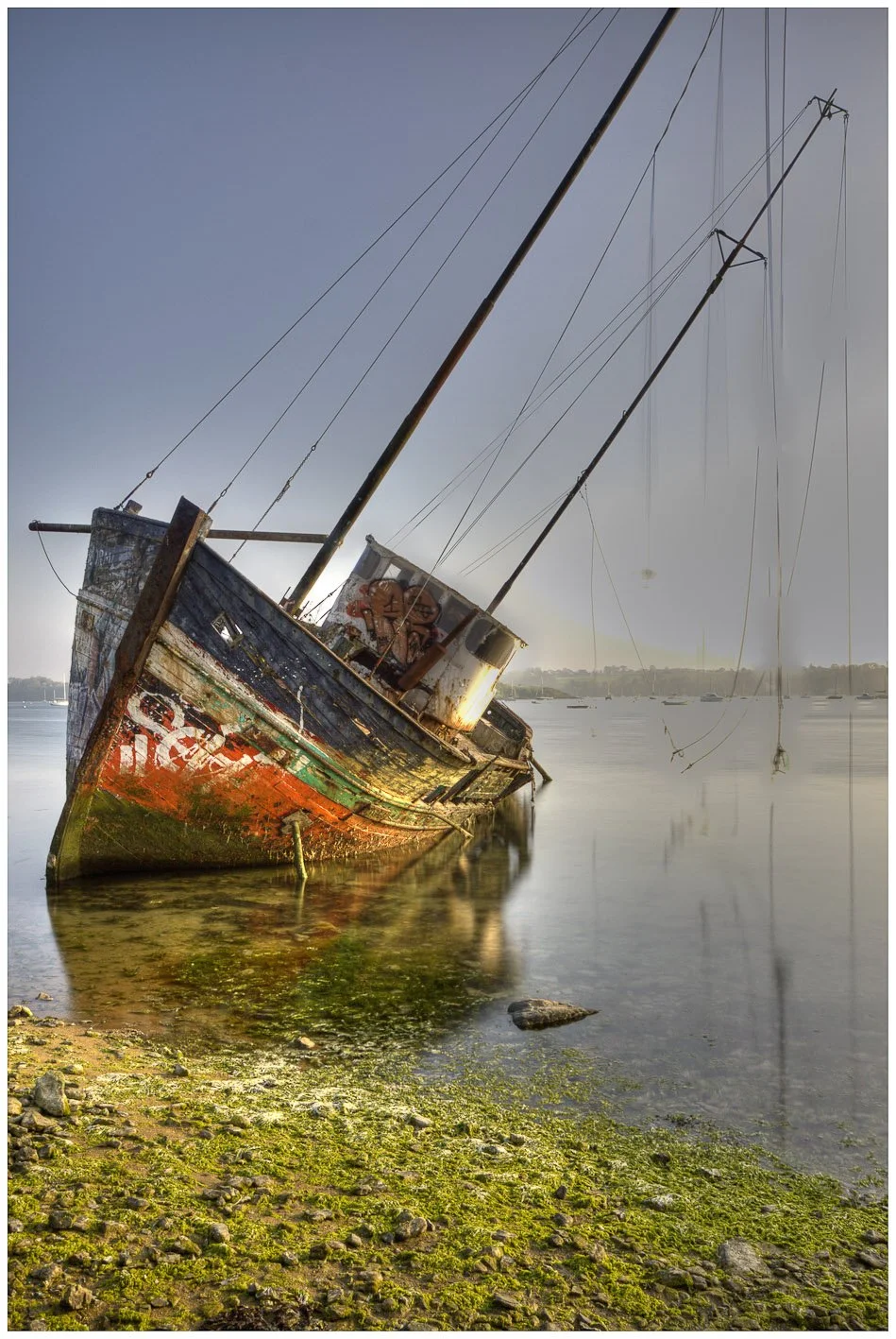 quelmer 8.jpg