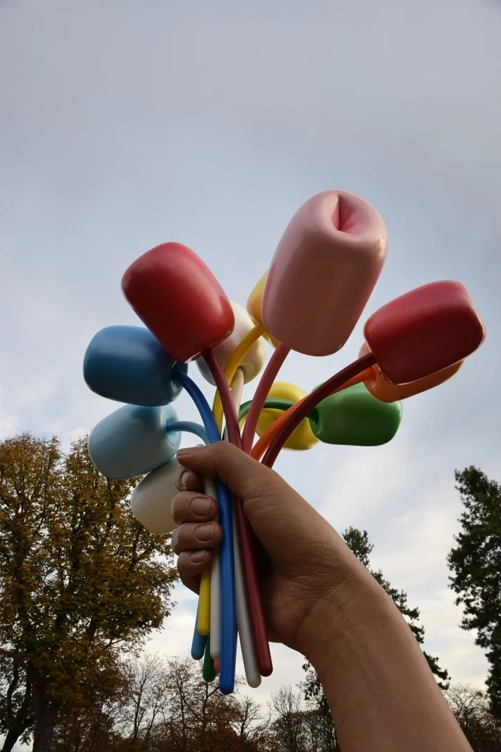 Bouquet-of-Tulips.JPG