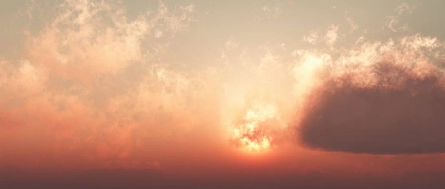 Angelss-pinkish-hair_li.jpg