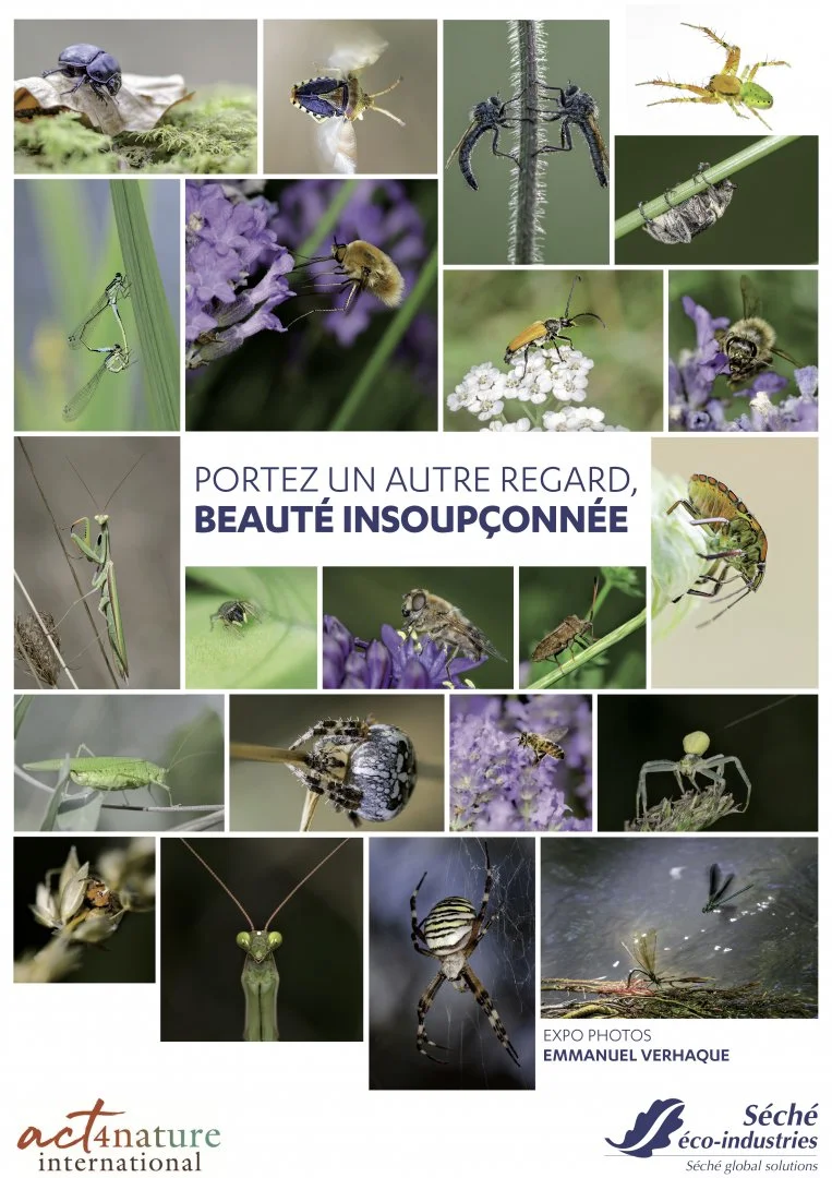 Affiche-Expo-Photos-A3.jpg