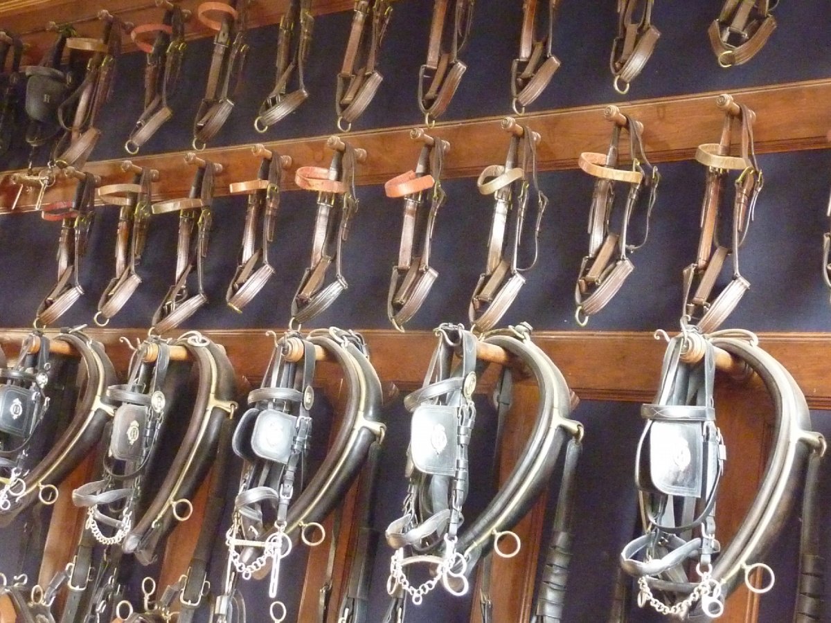 rangement-de-licols-aux-Haras-du-Pin_li.jpg