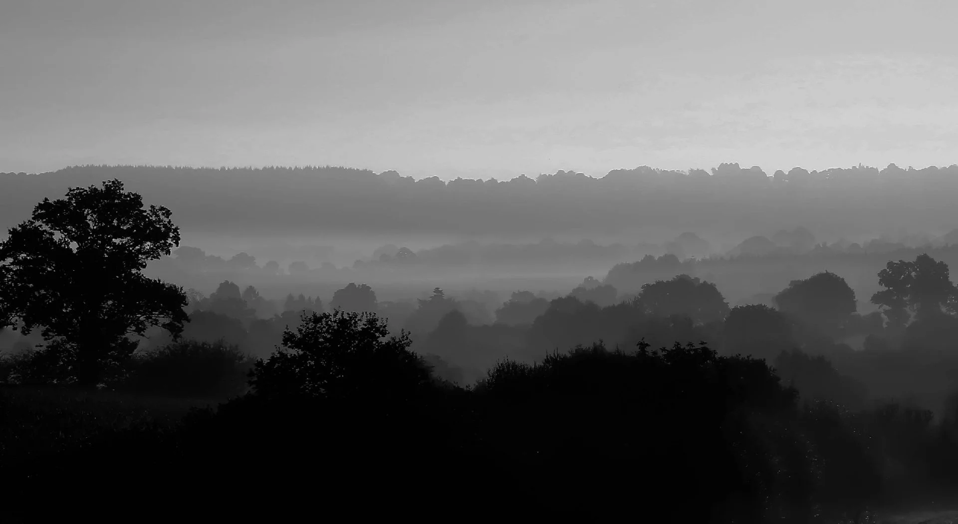 Brume-mayennaise.jpg