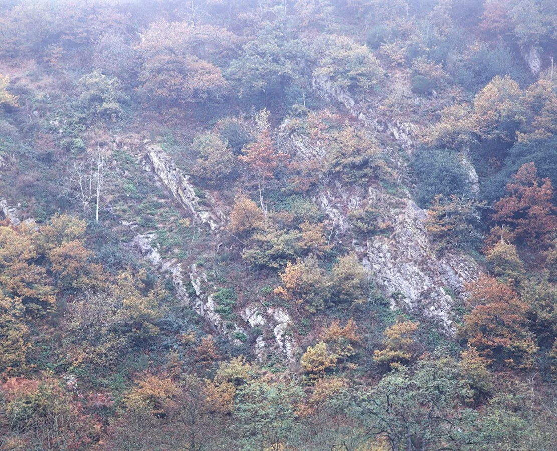 PTE-08-299-01_li.jpg