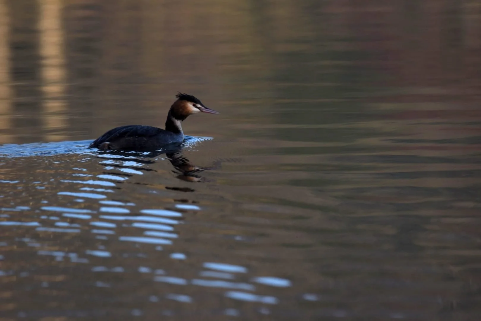 HM_DSC_7584.jpg