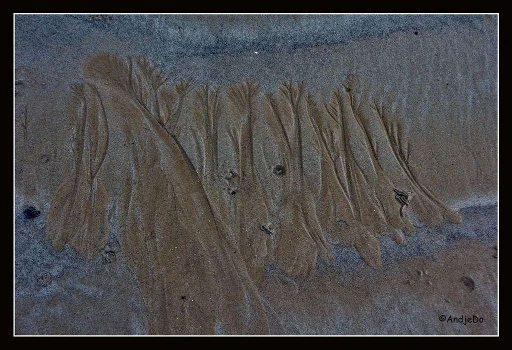 21ParamePlage.jpg