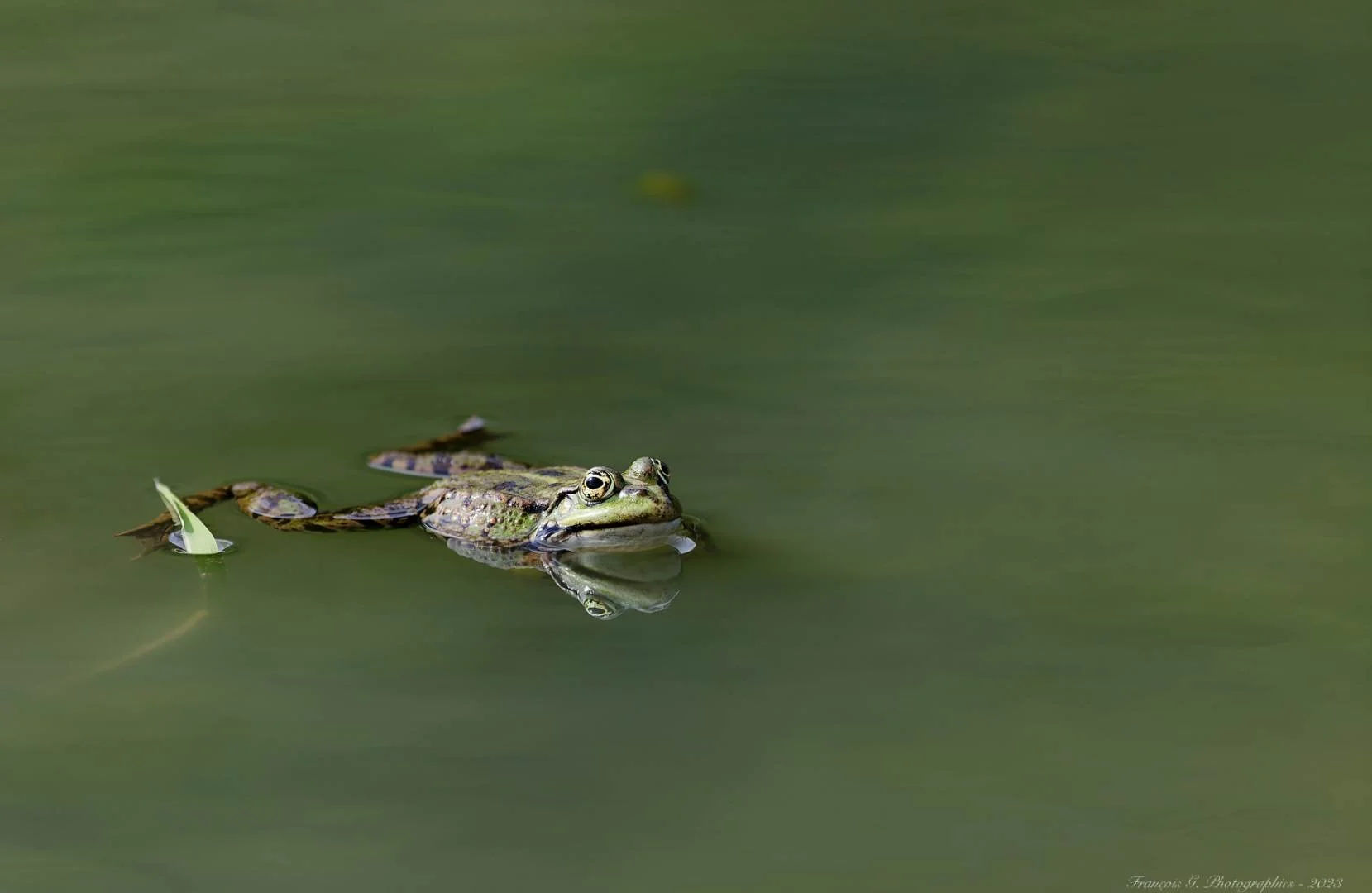 f133347368_DxO.jpg