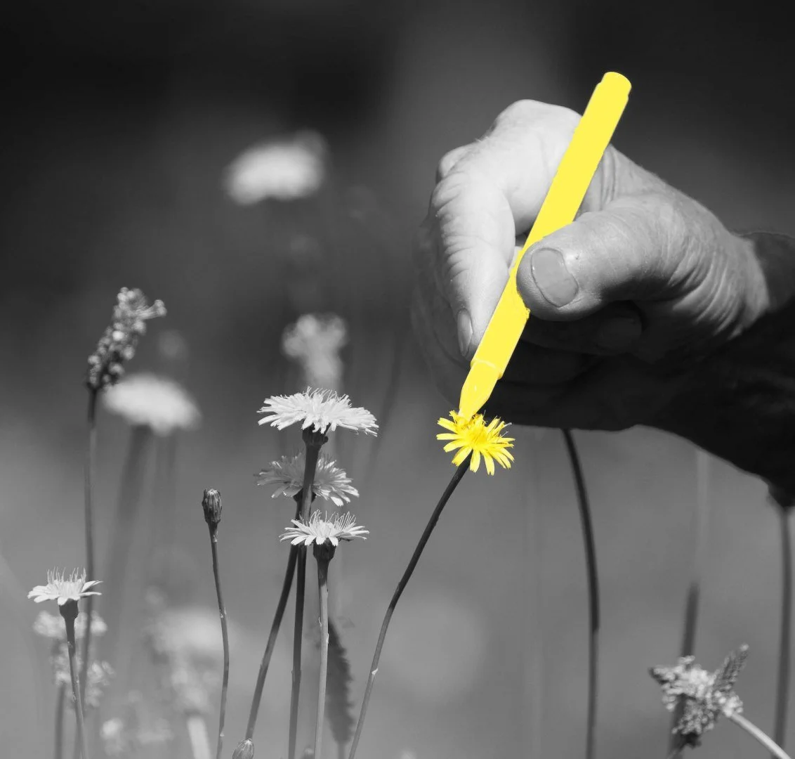 Mettre-de-la-couleur-a-la-vie.jpg