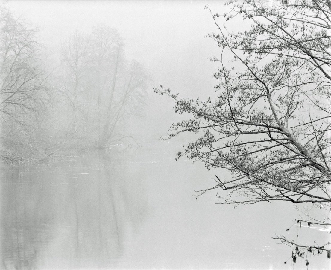 Onirique-Mayenne.jpg