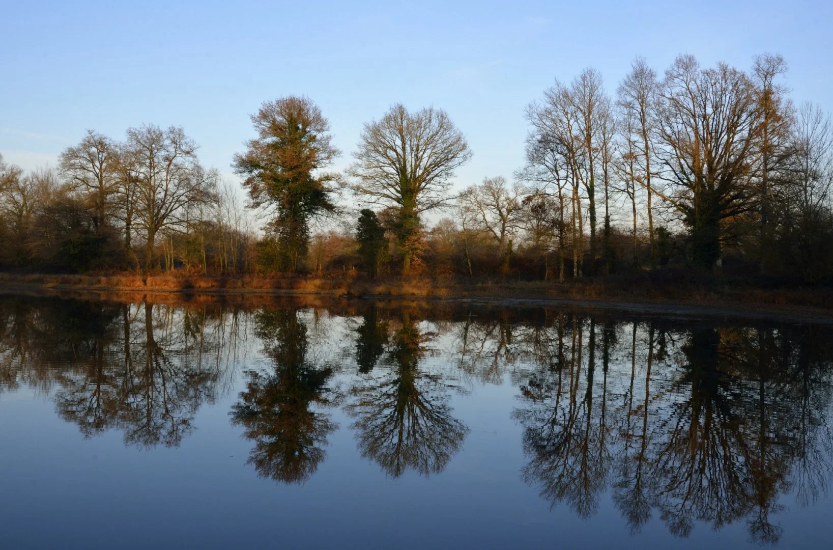 Mon-beau-miroir-1.jpg