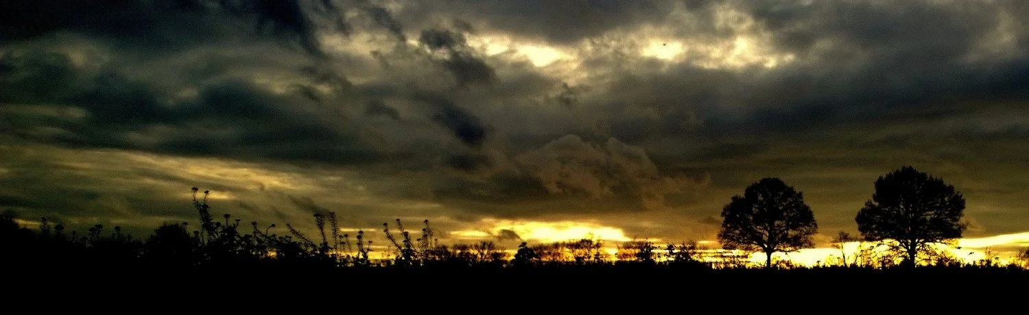 de-bois-et-dor.jpg