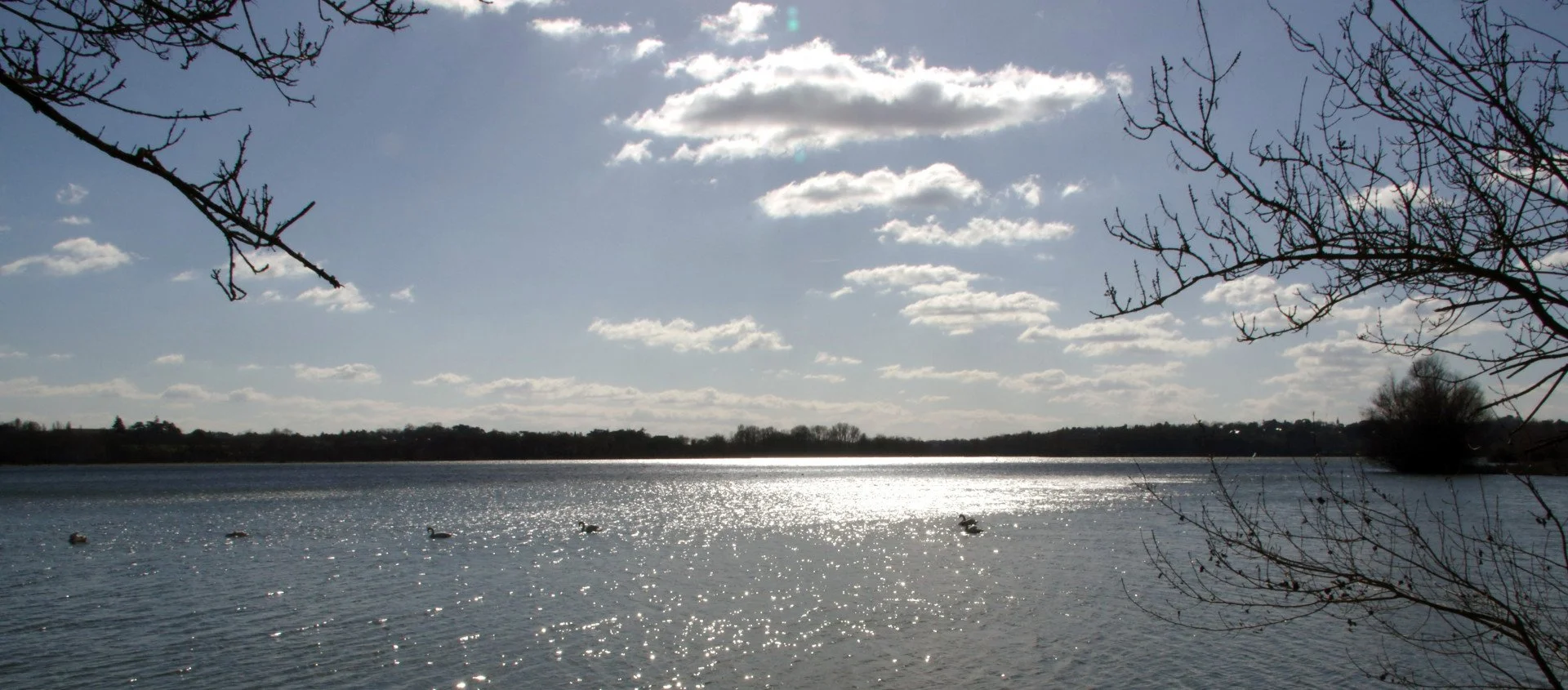 Contre-jour-sur-le-Lac-de-Maine-a-Angers.jpg
