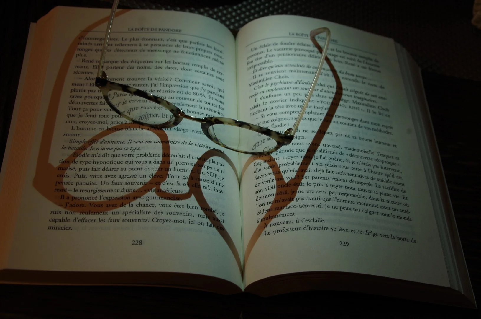 Au-Coeur-Du-Livre.JPG