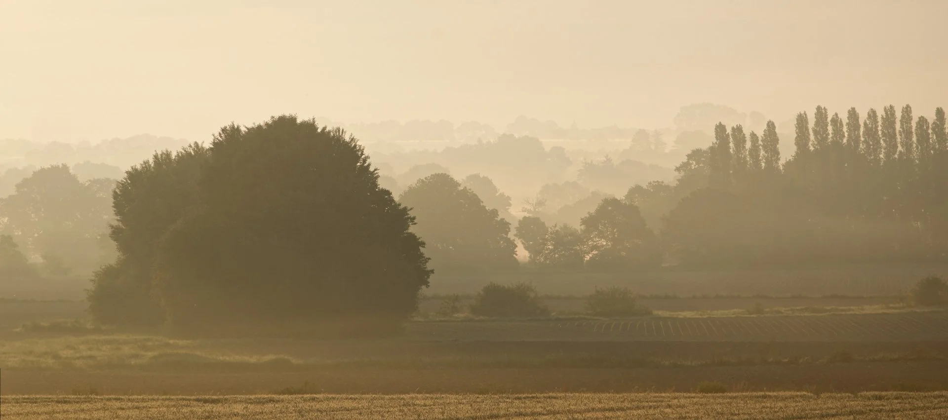 Brume-matinale.jpg