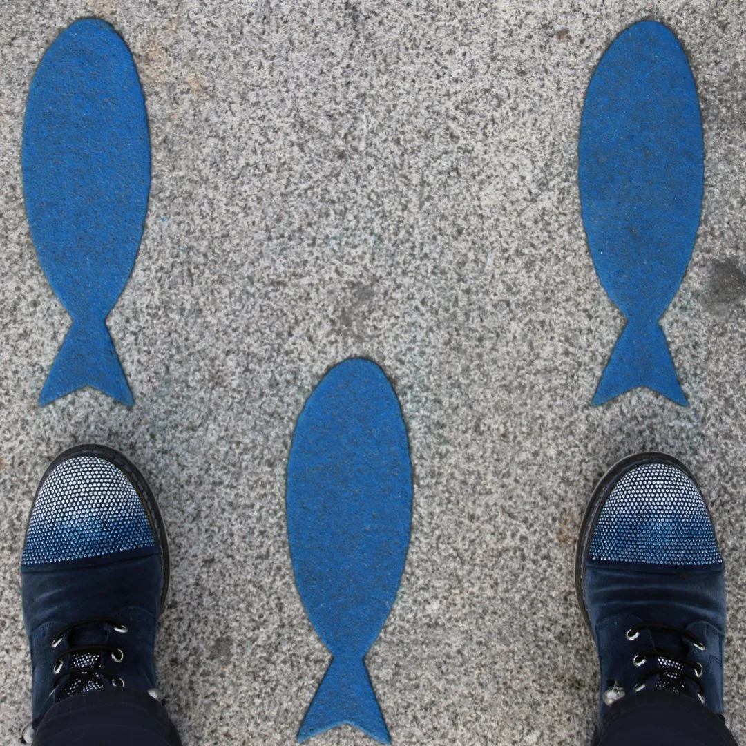 Sardines-bleues.jpg