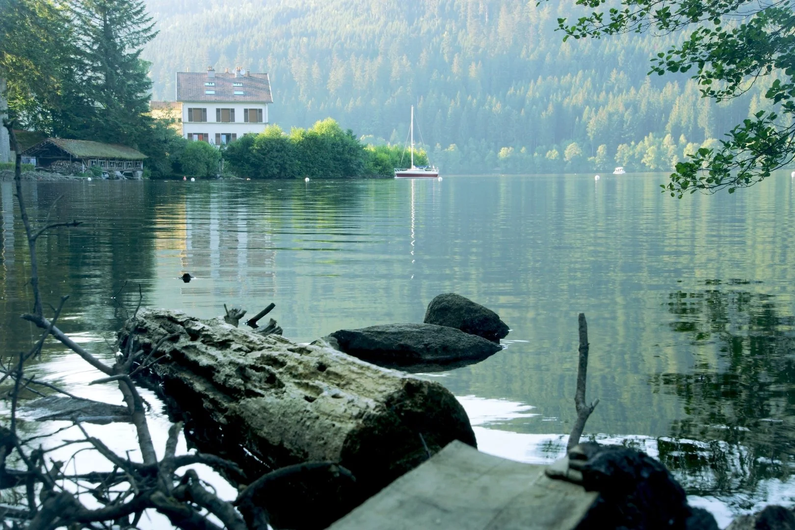 Paysage-Vosgien.jpg