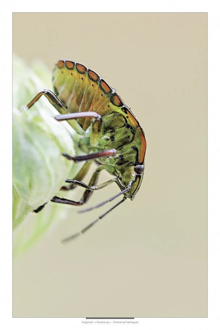 Support-leger-90X60-HD-3.jpg
