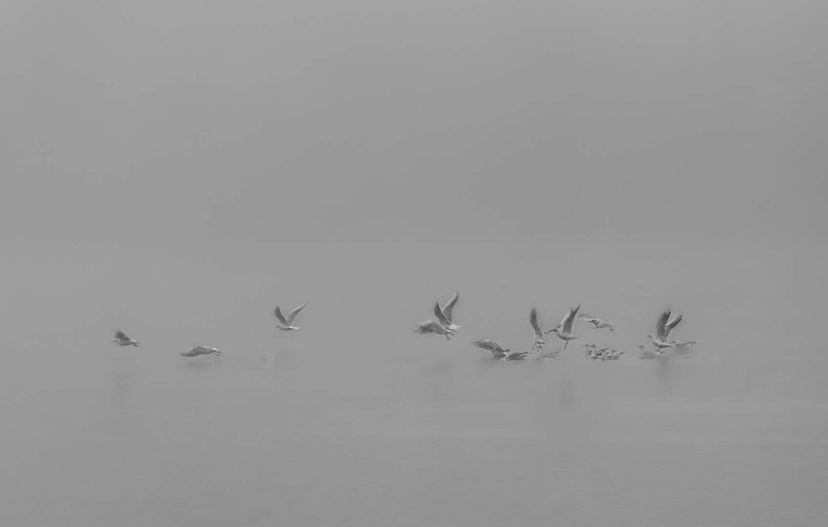 CP10202008.jpg