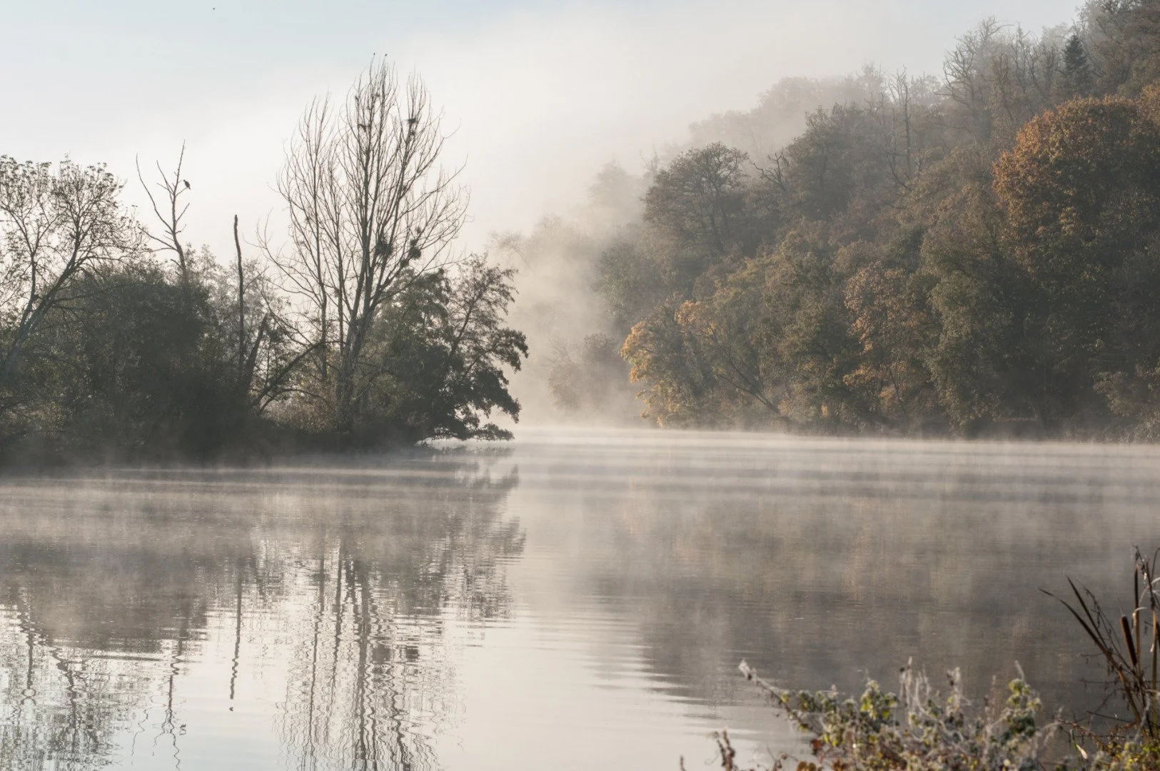 Matinee-brumeuse-le-long-de-la-Mayenne.jpg