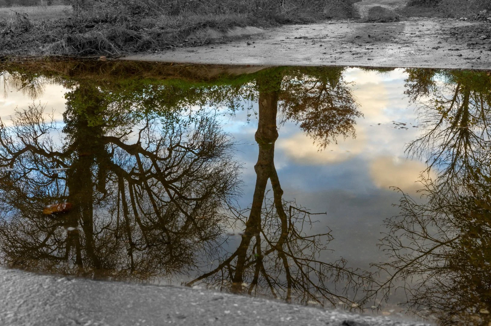 Ciel-reflete.jpg