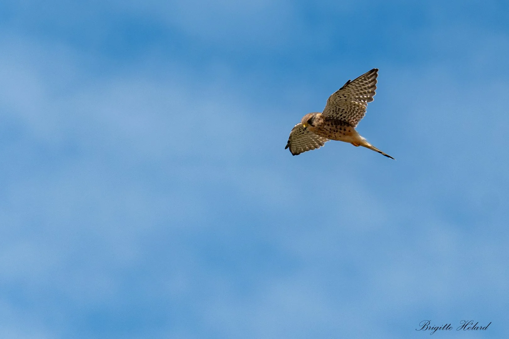 BH092025-13.jpg