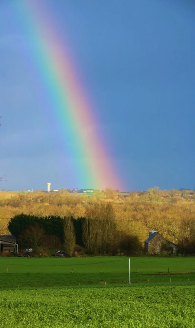 Arc-en-ciel.jpg