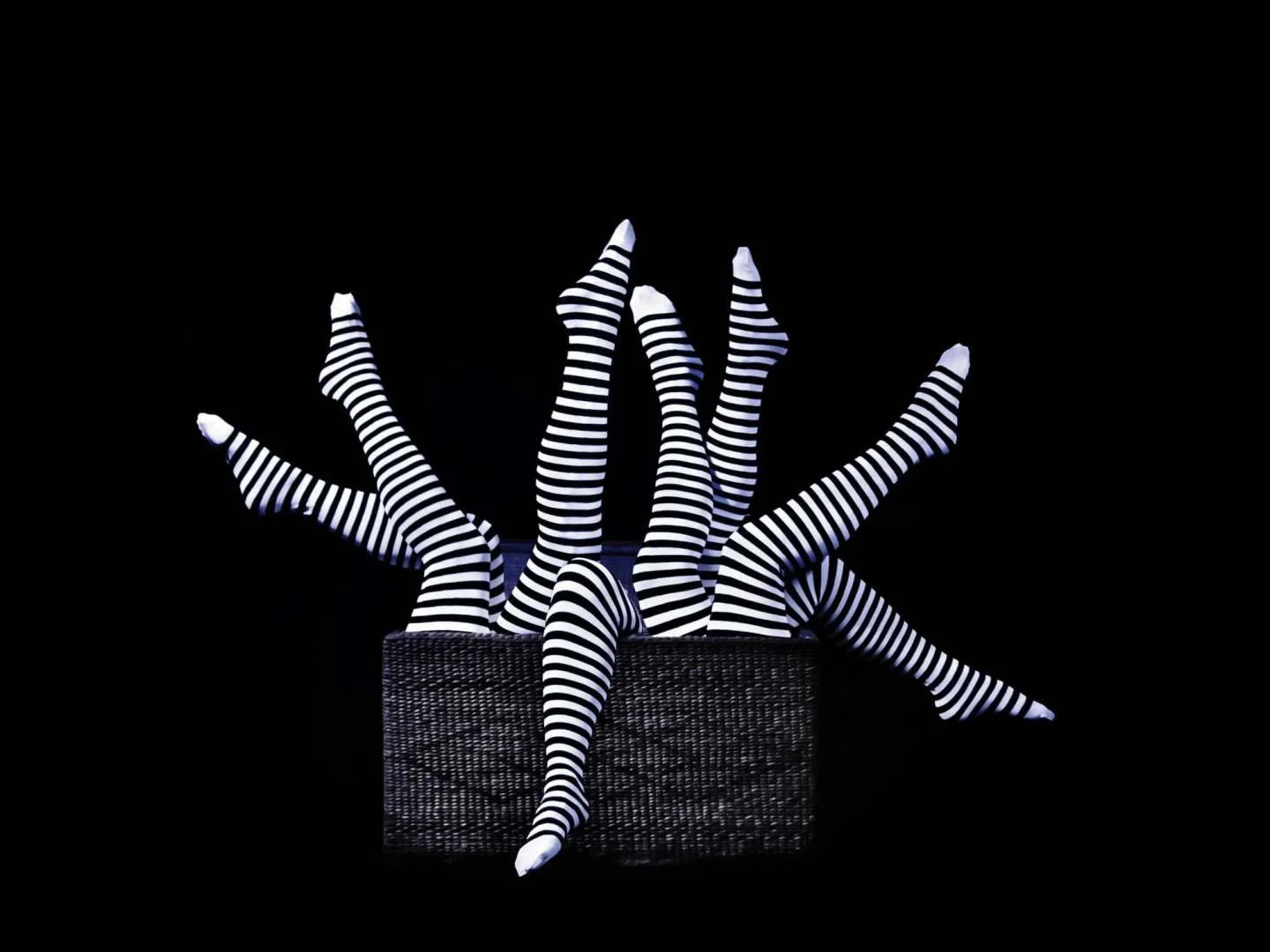 276096652_511802073661766_6927286958759747050_n.jpg