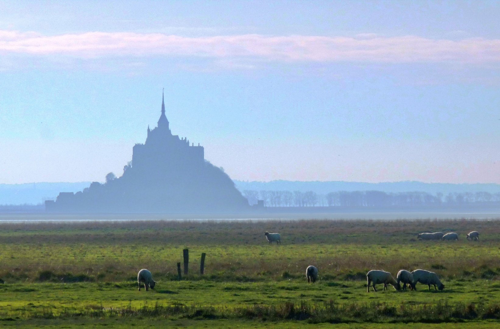 Concours 1 : à chacun son paysage