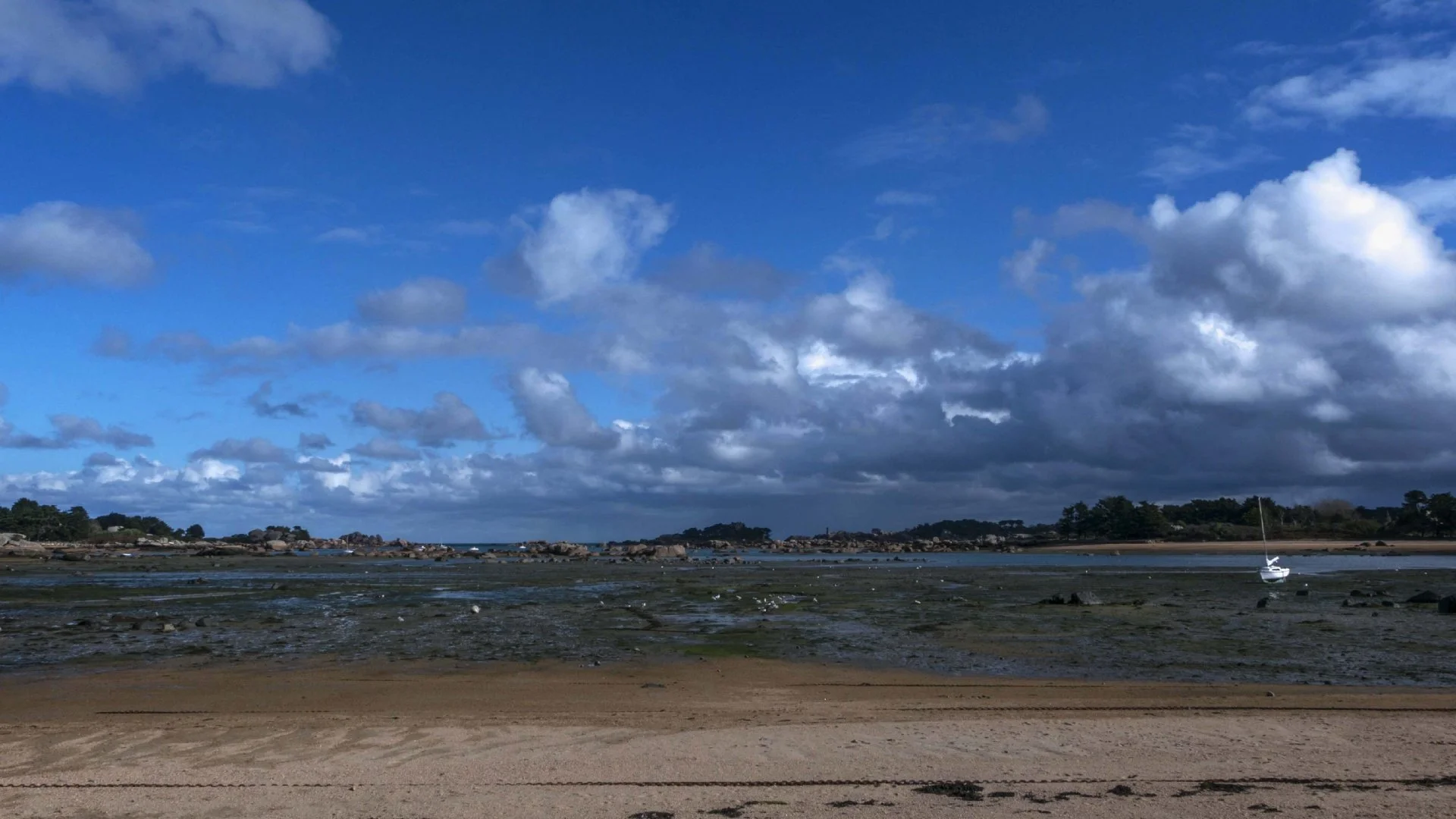 Juste-avant-le-grain.jpg