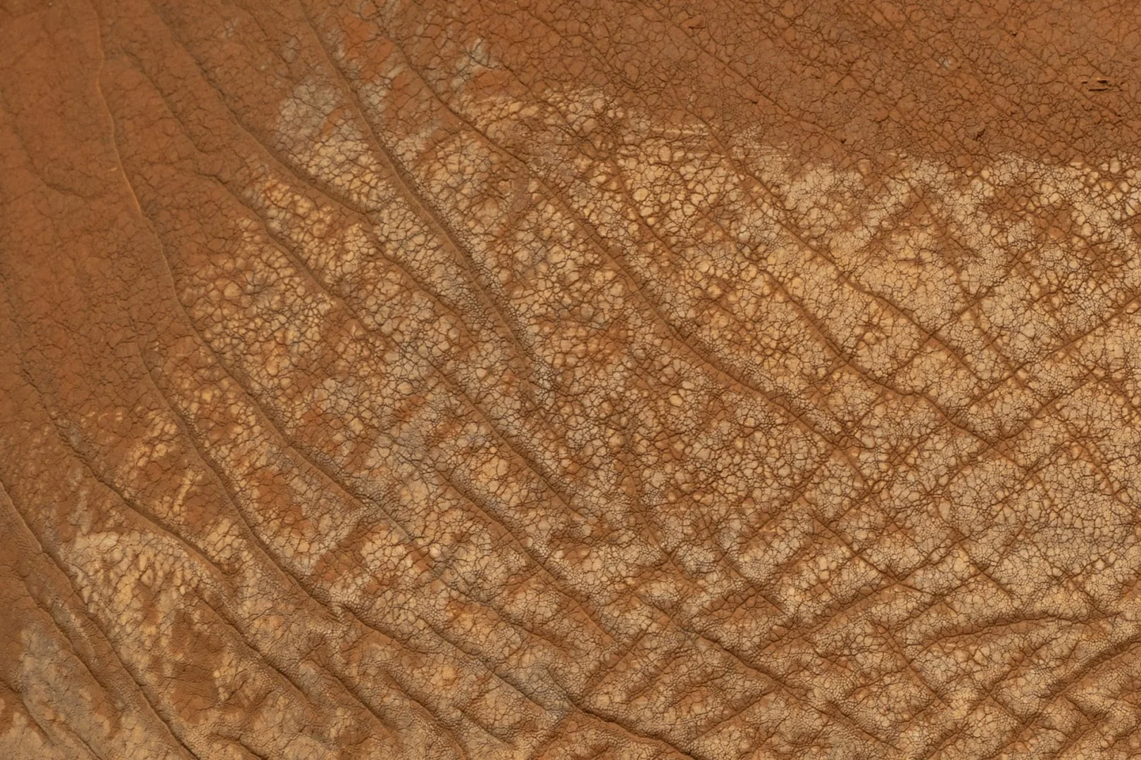Pele-mele-geometrique-.jpg