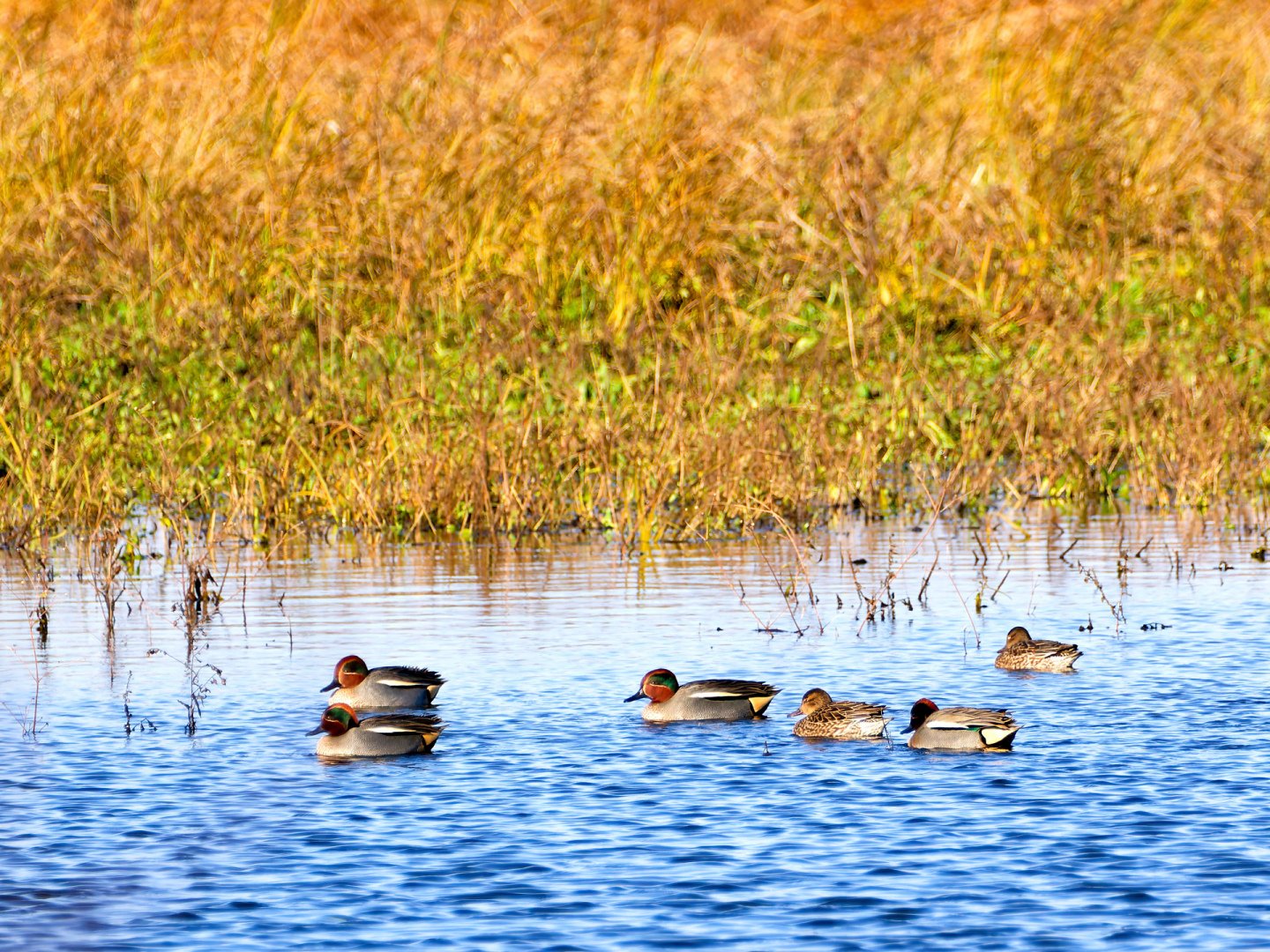 JV-Decembre-2024-PC200005_DxO-12_2.jpg