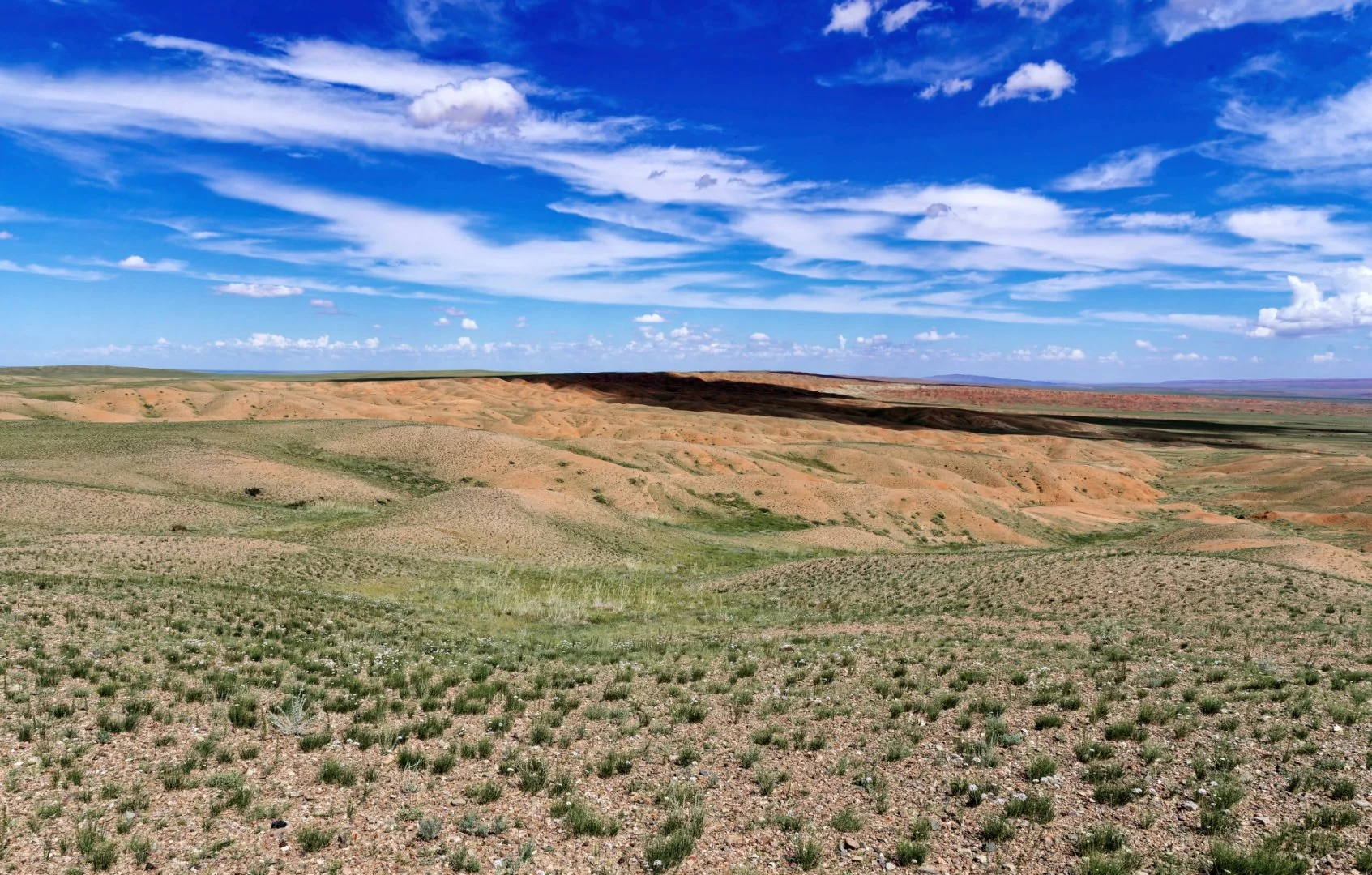 Le-Gobi-en-fleurs.jpg