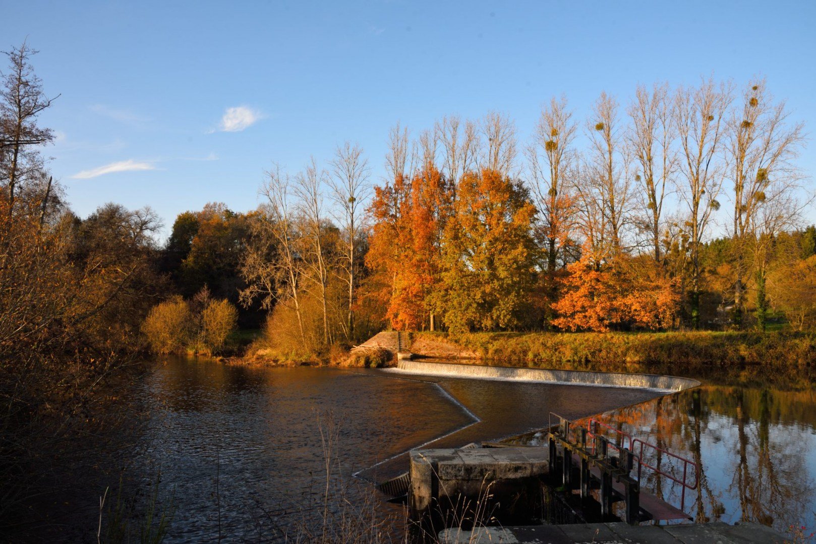 Fin-dautomne-sur-les-rives-de-la-Mayenne.JPG